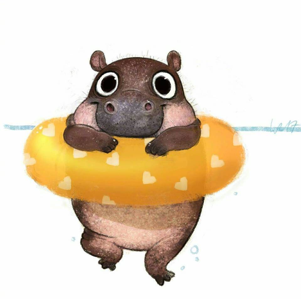 可爱的动物插画