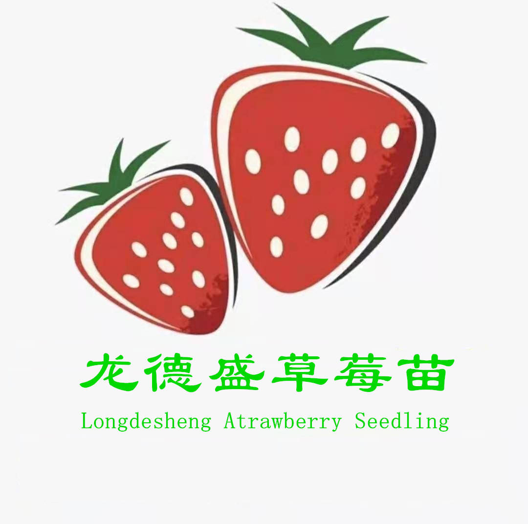 龙德盛草莓苗优质的草莓苗是如何培育出来的