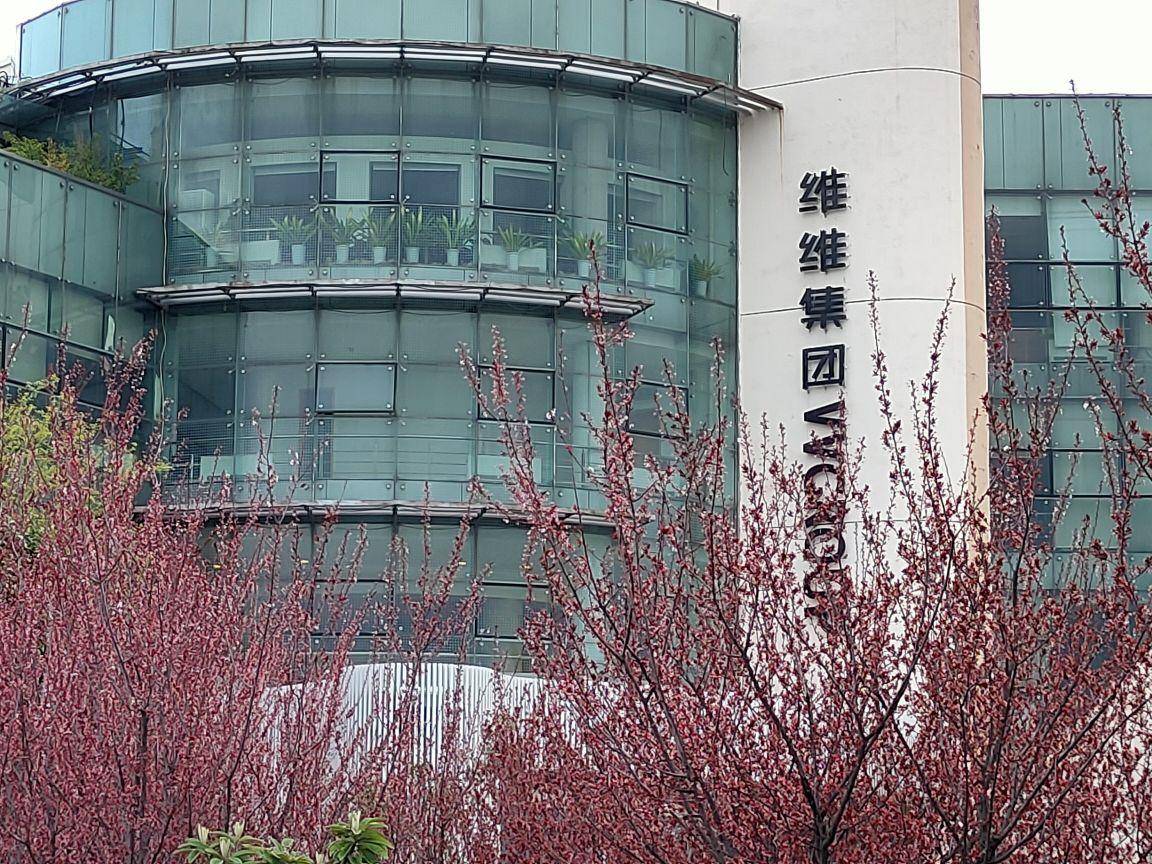 宋清辉维维股份处境艰难在多元化战略中迷失太久亟需专注主业