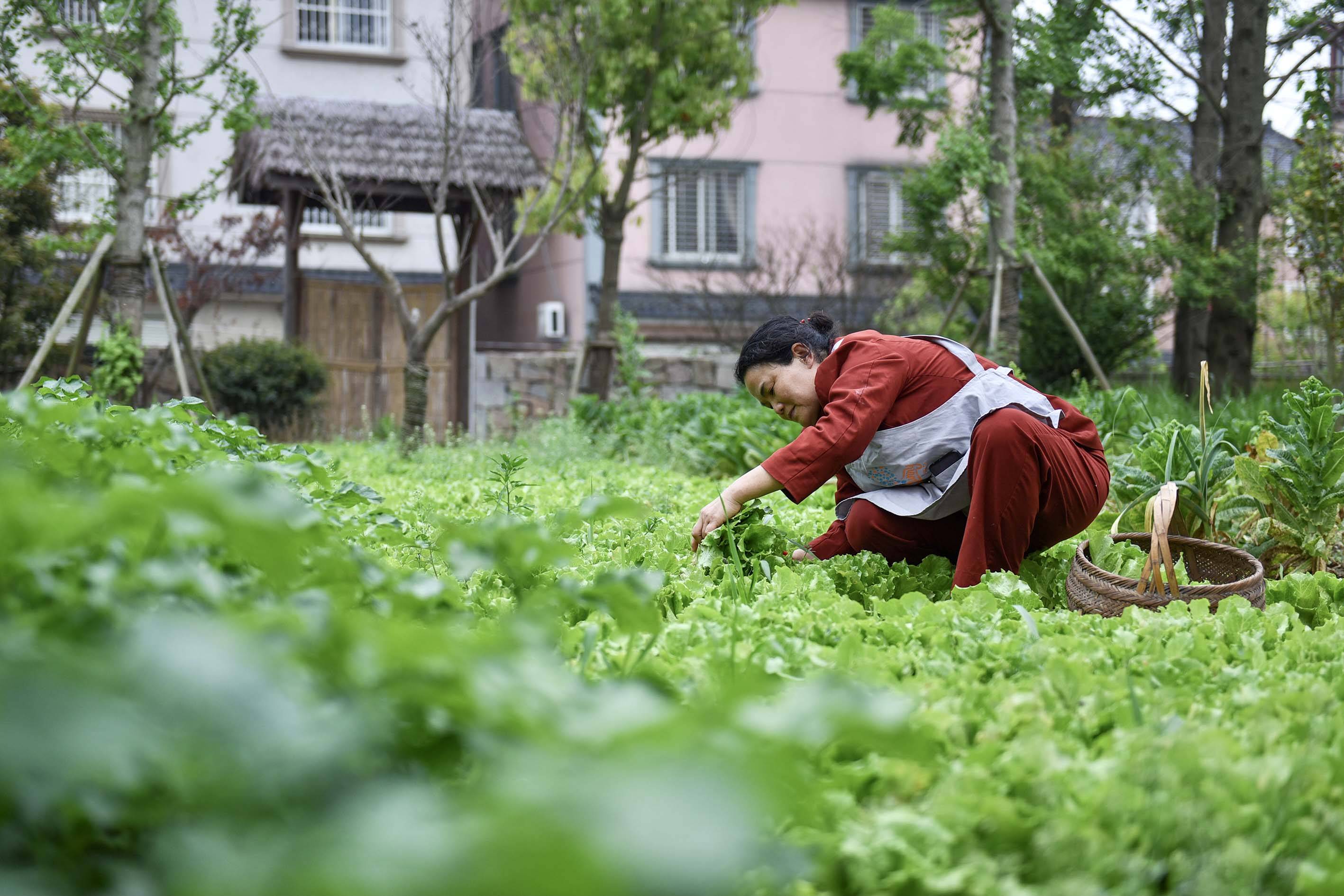 江苏太湖畔的“冷门”度假秘境，景美人少，却常被游客“忽略”