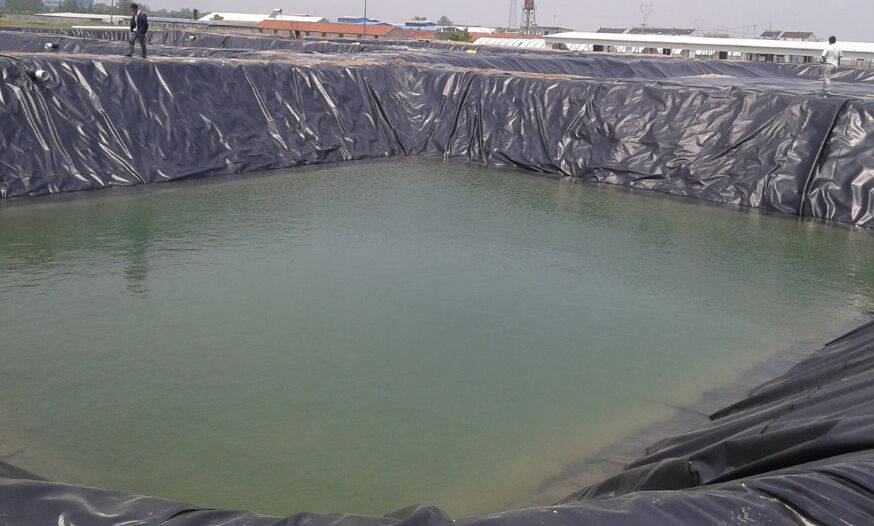 如何处理畜禽养殖废水?