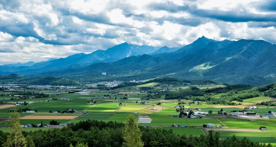 五一家电市场真低迷,美的长虹海信格兰仕京东欧琳苏宁聚势气-家电圈官网