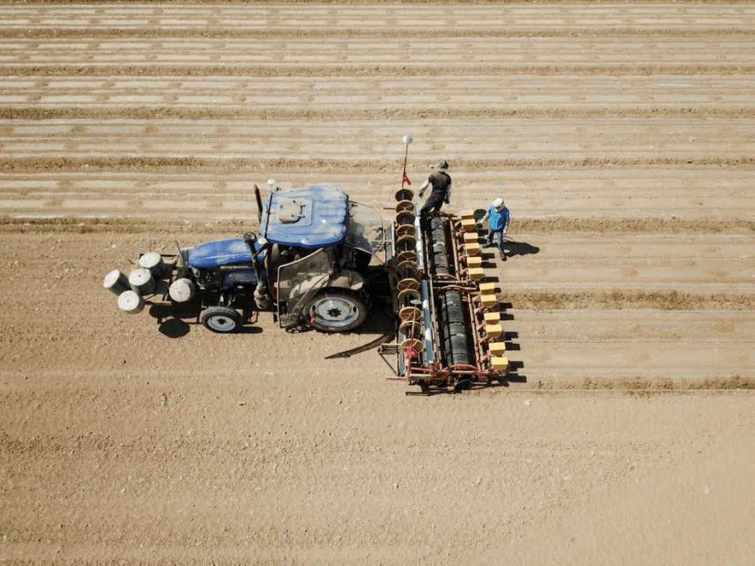机械式精量播种机助力新疆棉花种植