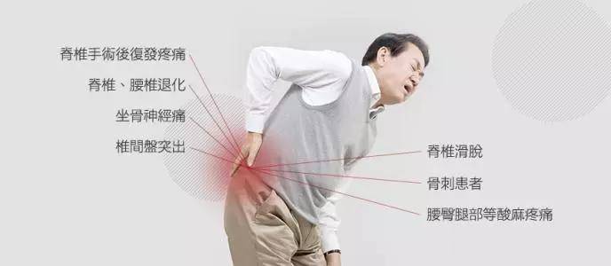 什么是坐骨神经 cfecf1f9cf7347dfa6fa2590742403b5.jpeg