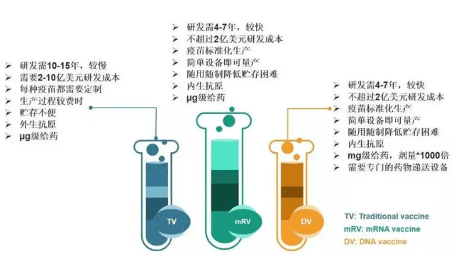 为什么叫核酸疫苗 0c5aed271b3a435eaf1c3ed9e5ffc97d.png