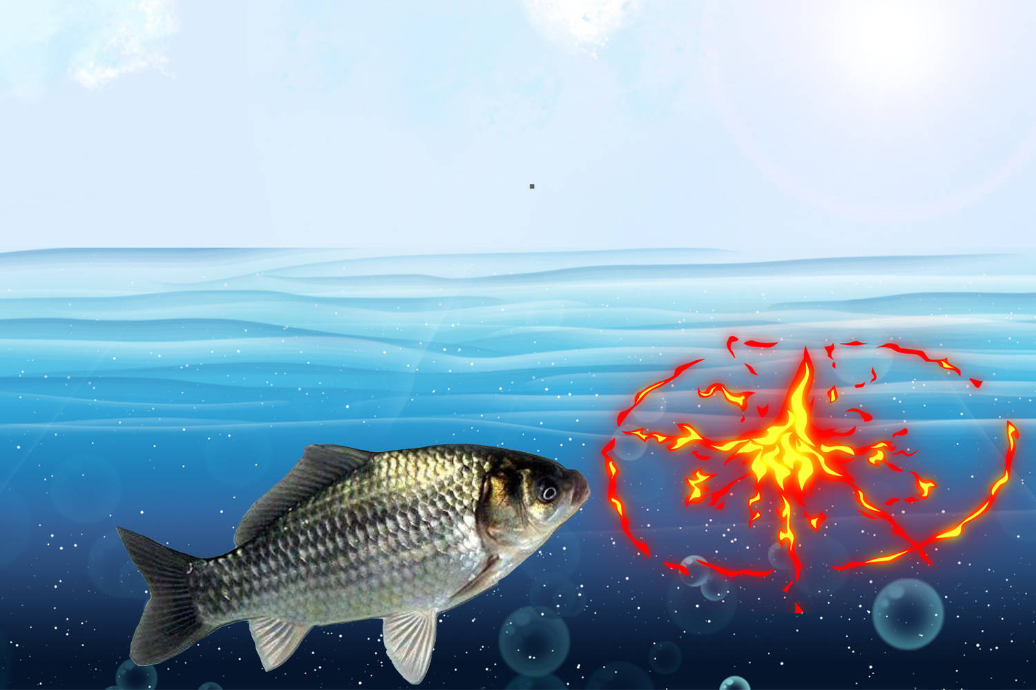 鲫鱼 鲤鱼 青鱼和草鱼都喜欢什么味型 气味诱鱼的几个关键点 信号