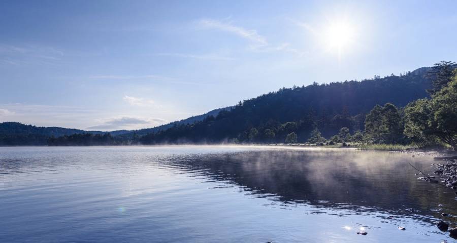 今年家电618大促的不变趋势与意外惊喜-家电圈官网