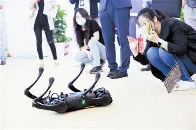 观众|互动“黑科技” 观众“嗨体验”
