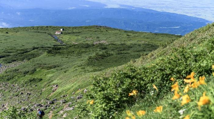 这几家巨头的新动作不简单，释放出家电业未来的变局与走势-家电圈官网