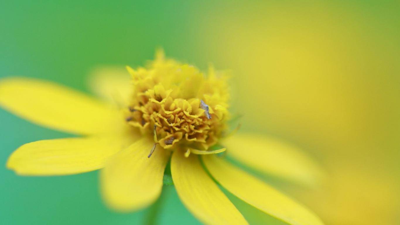 结婚后财运旺盛 生活水平高的生肖 丑土