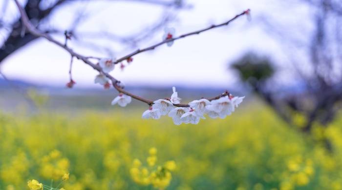 6月1日起，中央空调市场也将迎来一轮涨价潮！-家电圈官网