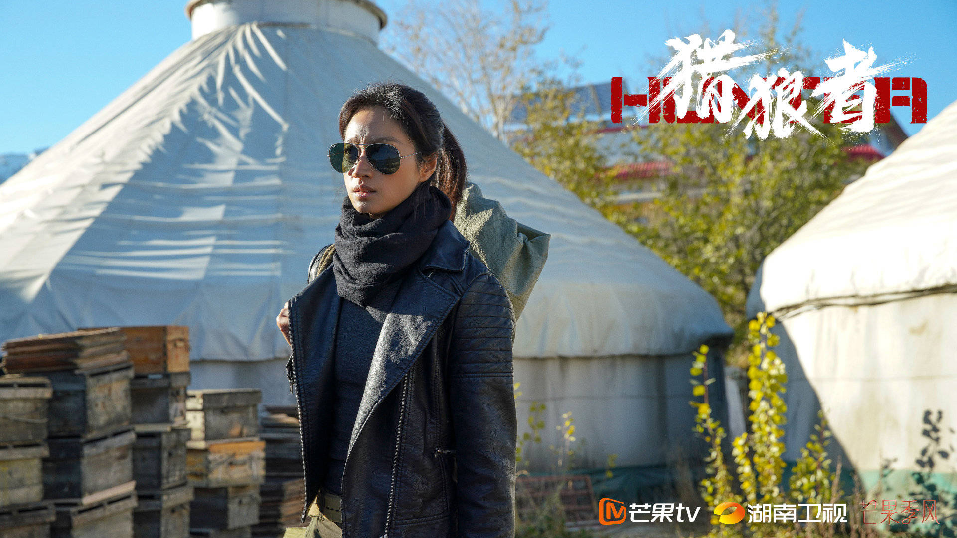 沈佳妮《猎狼者》豆瓣开分8.1 强悍打戏一挑四上演反杀