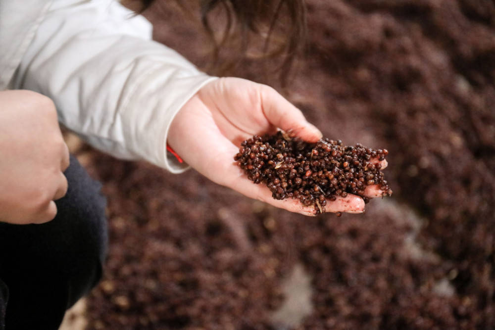 土埋酒糟洞藏储存不走寻常路的白酒是真神秘还是真神酒