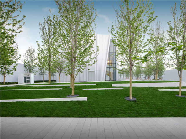 实地郑州常春藤图集