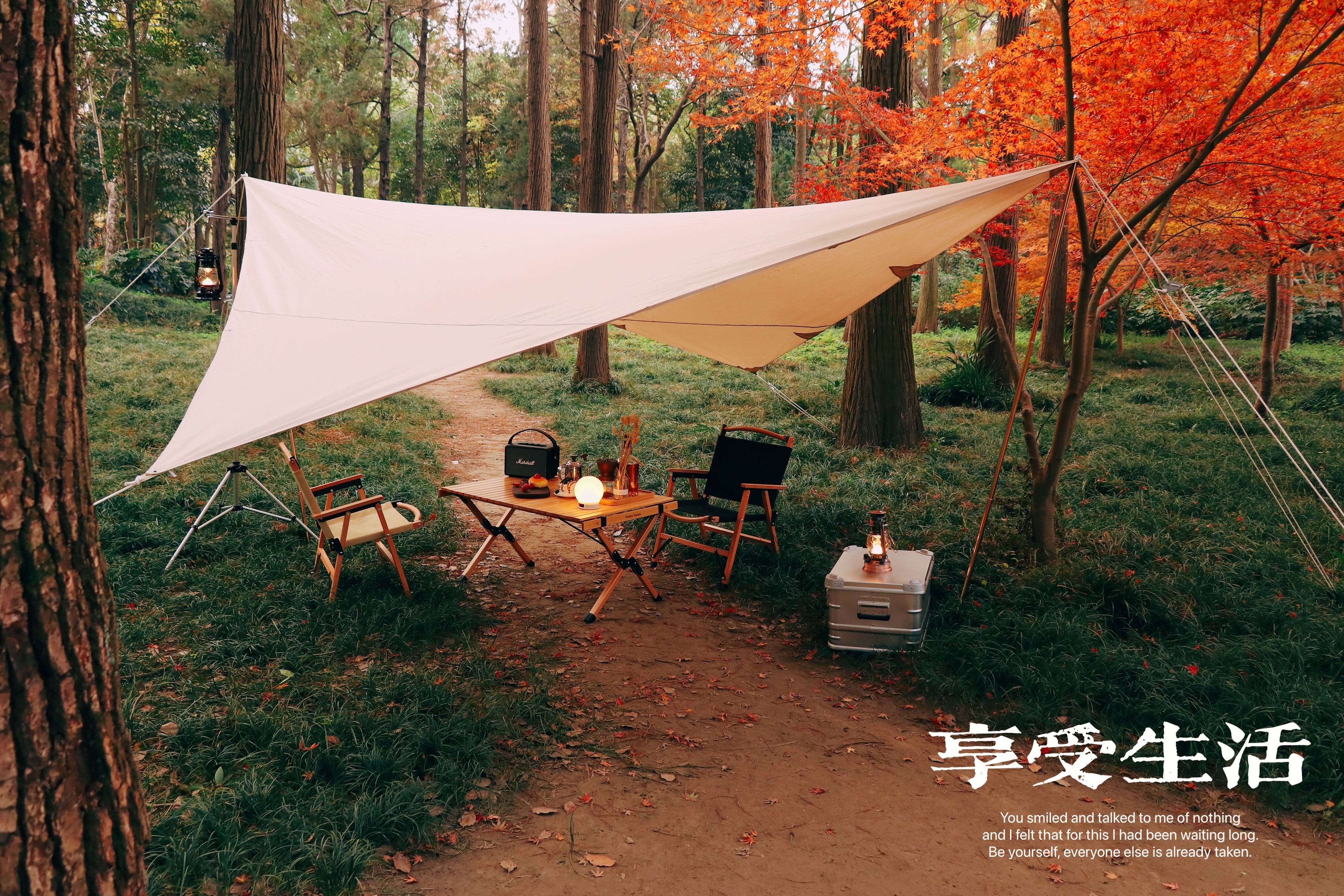 VLOG019| 露营初体验，大家为什么喜欢去露营?????