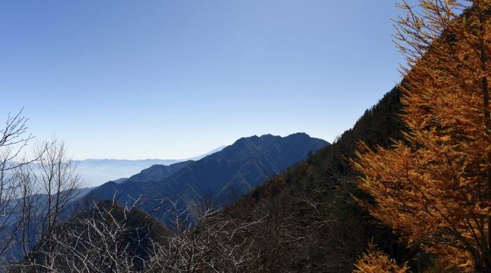 洗衣机业这几年发展与变轨，指明家电业的未来方向！-家电圈官网