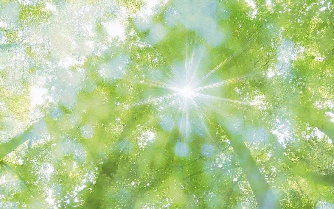 怎么晒太阳才有效果 34cb4b39c4384c2c8829fe95fb3b0663.jpeg