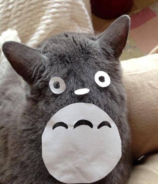 龙猫是一种动物,其实不是猫 ,像只小老鼠的样子很可爱,现在被很多人当