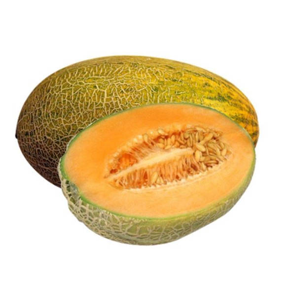 江西创泽文化传媒有限公司,新疆特产伽师八六王哈密瓜现摘现发