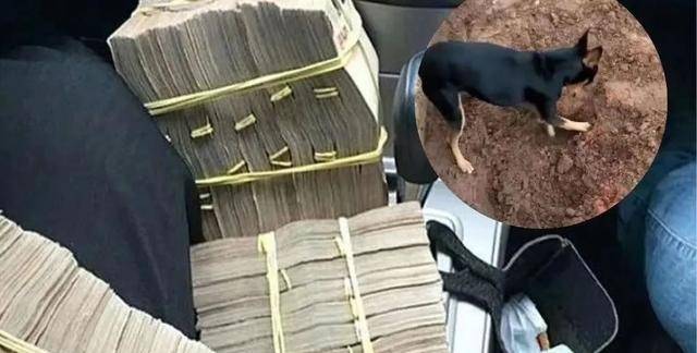 结果当然没有让大家失望,警察成功找到了一个药罐子,里面装的正是毒品