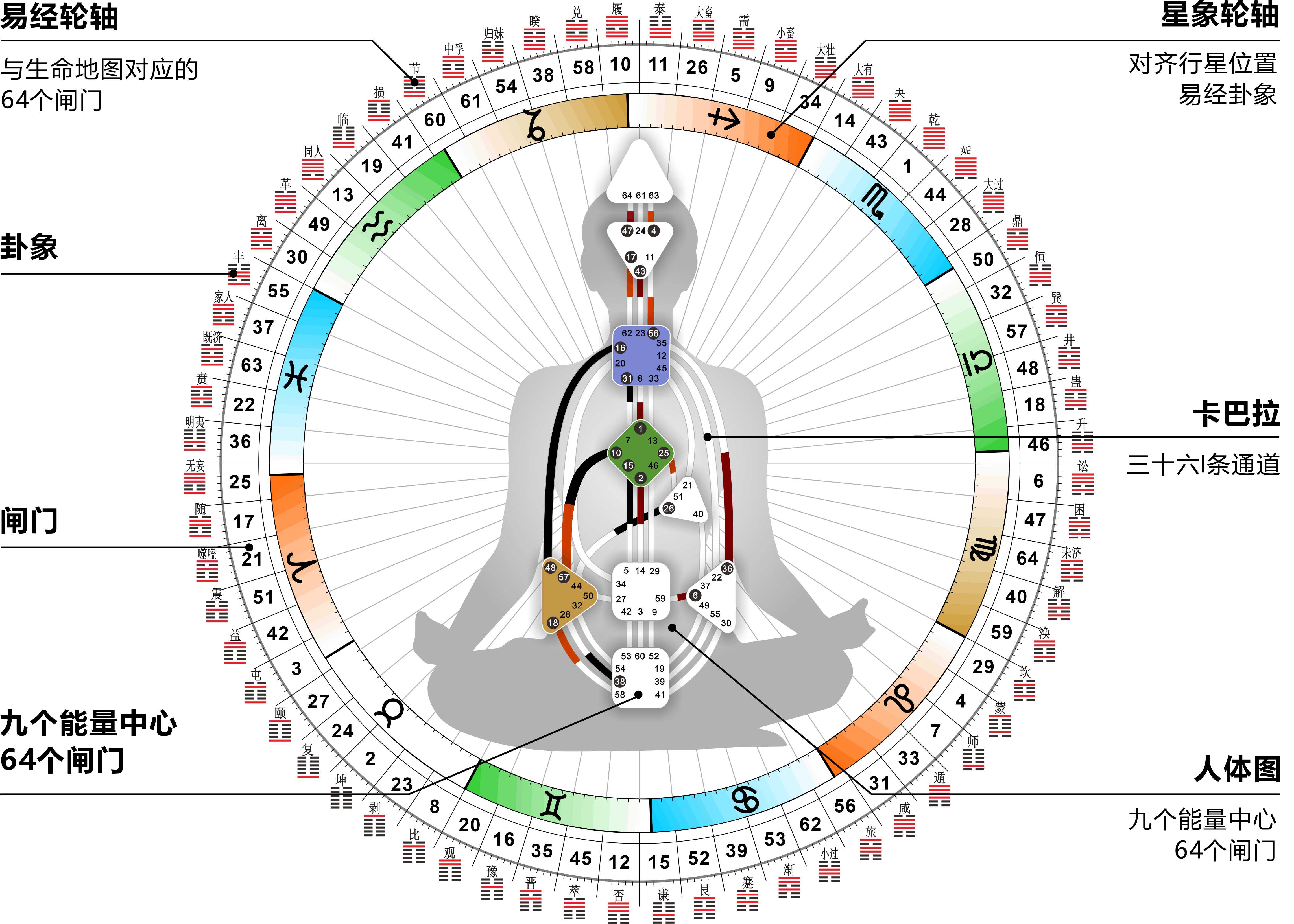 人体能量转化图图片