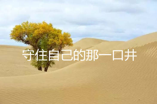 守住自己的那一口井