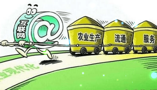 推动农村电子商务建设实现乡村振兴