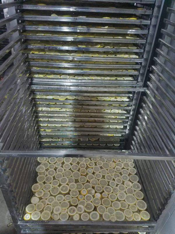 空气能柠檬烘干机水果烘干系列柠檬烘干