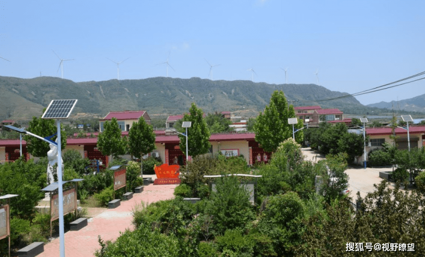 郏县长桥镇固根基夯实乡村振兴产业基础