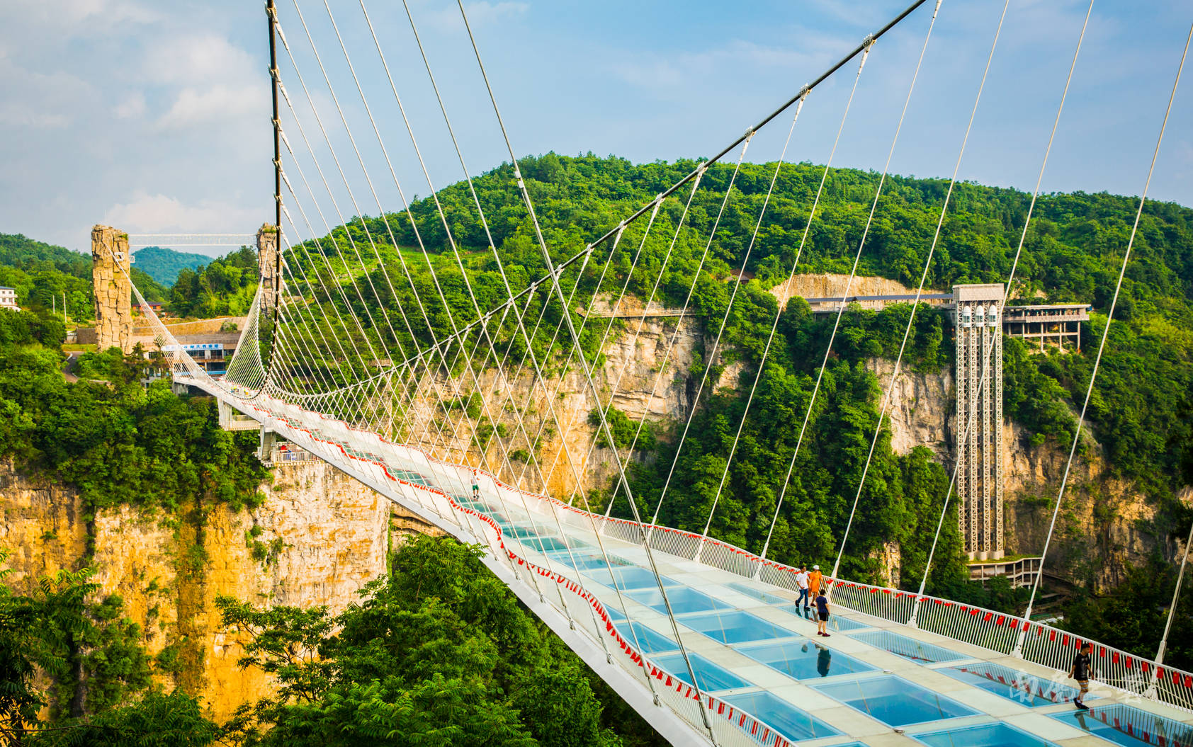 张家界大峡谷玻璃桥，湖南 (© MediaProduction/Getty Images) | 必应每日高清壁纸 - 精彩,从这里开始