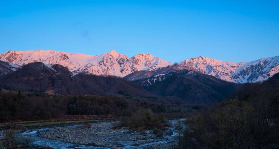 现在选择告别家电业还为时尚早？美的格力海尔海信给出答案-家电圈官网