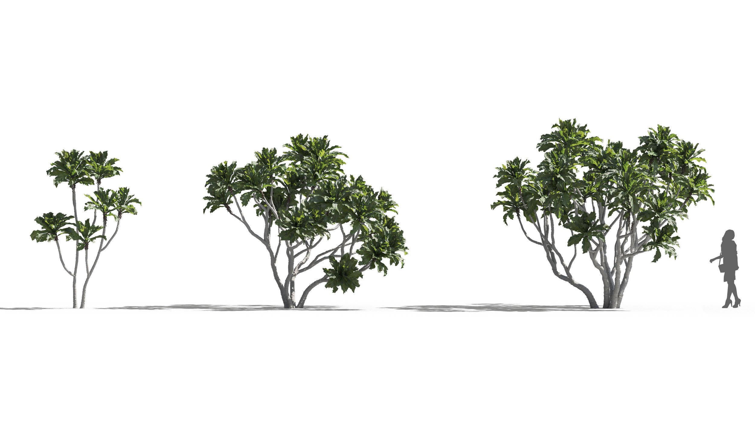 原創園林景觀建築設計植物模型包maxtree–plantmodelsvol80