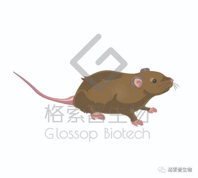 科研绘图元素库服务已上线