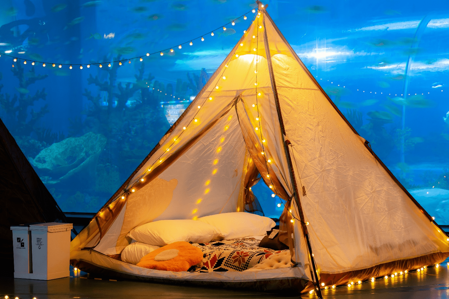 携程与海昌共同推出的"海洋鲸奇夜"产品中使用的夜宿帐篷