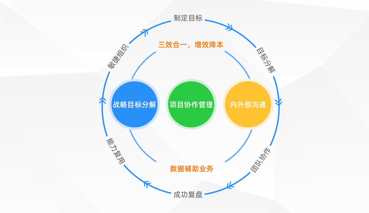 战略决定组织,而组织决定成败!