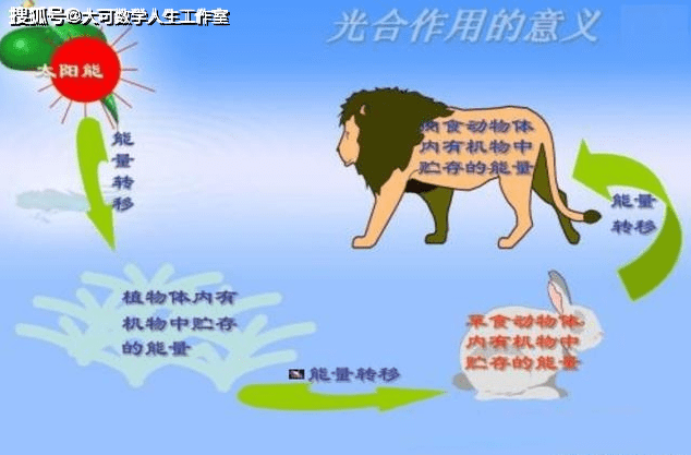 如果没有太阳光,地球所有的植物都无法进行光合作用,无法合成养分供