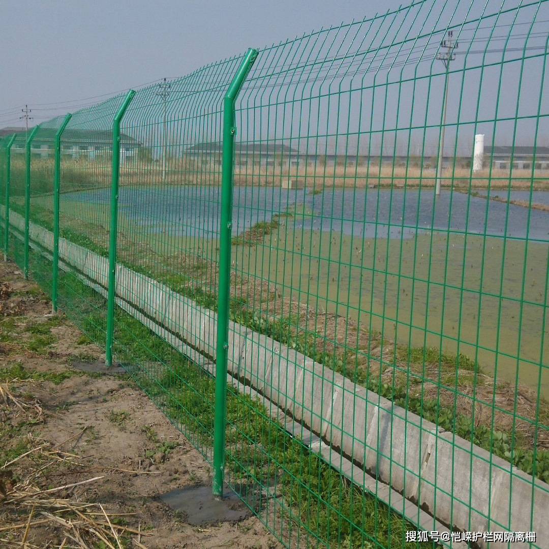 绿色铁丝围网封山育林铁网围栏防攀爬围栏网