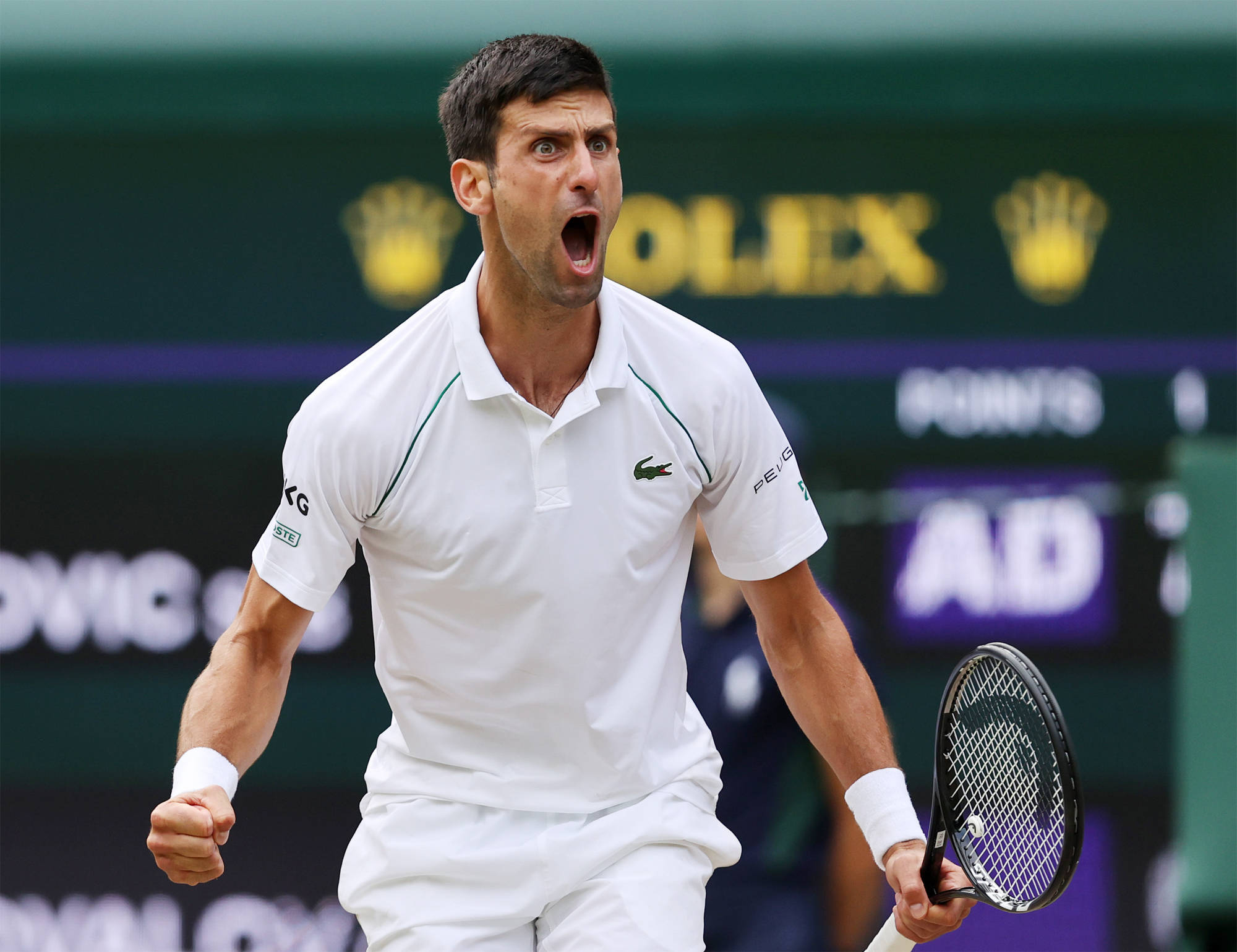 原创温网男子盘点:德约捧杯创纪录 费德勒穆雷状态堪忧