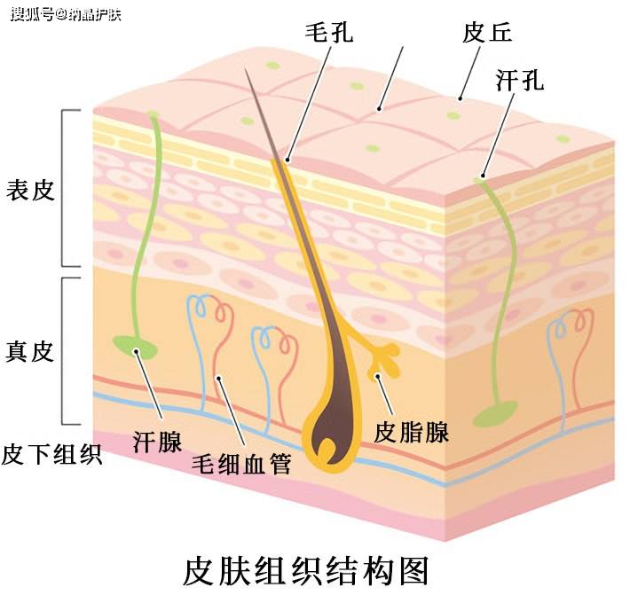 科技|纳晶是什么？它是如何用黑科技，让肌肤10倍有效吸收