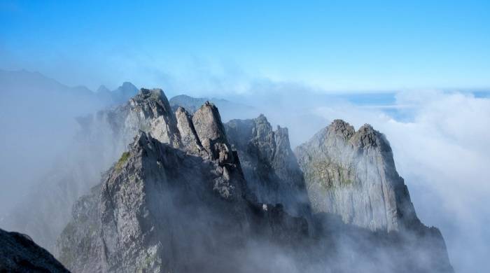 量降额涨均价升，2021上半年家电市场新变化的几点思考-家电圈官网