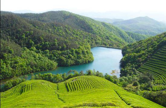 变化|宁波东钱湖福泉山
