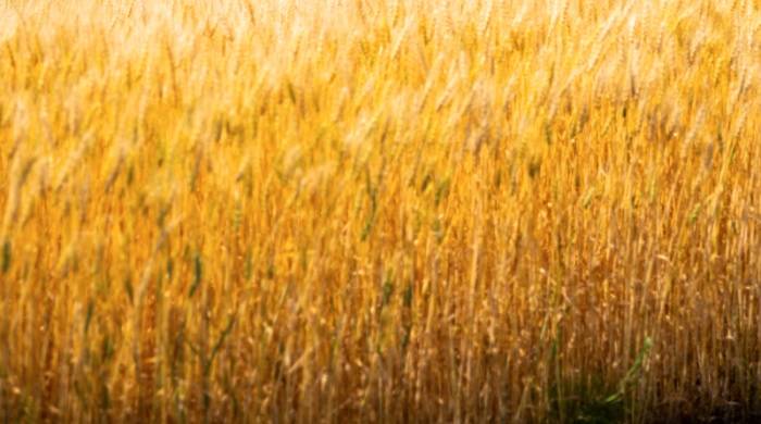 热水器正成厨电套系新引擎,主要企业经营思路再变-家电圈官网