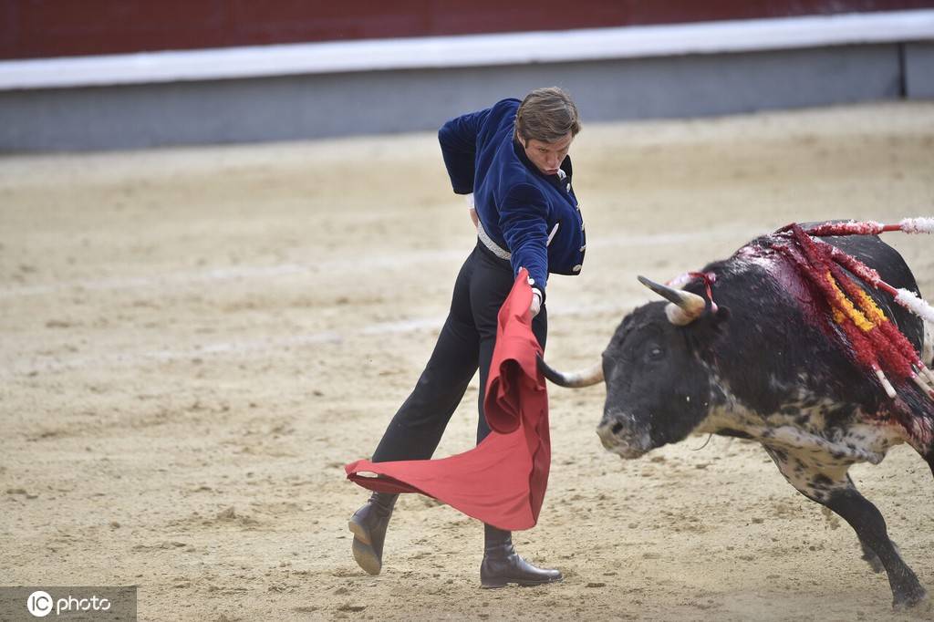 西班牙举办传统斗牛比赛斗牛士身着西服风度翩翩