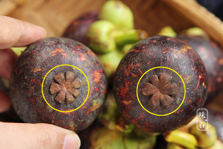 买山竹时别只会挑个大的老果农教我4个技巧核小肉厚味道甜