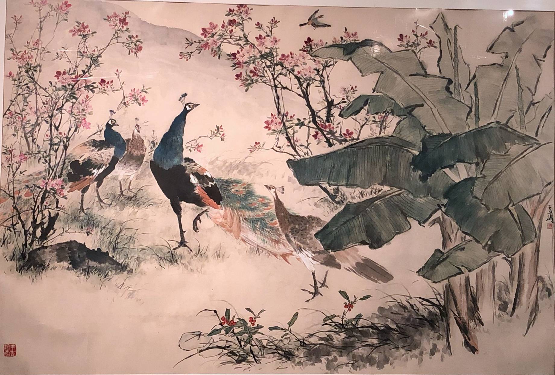 王雪涛是我国现代卓有成就的花鸟画家.