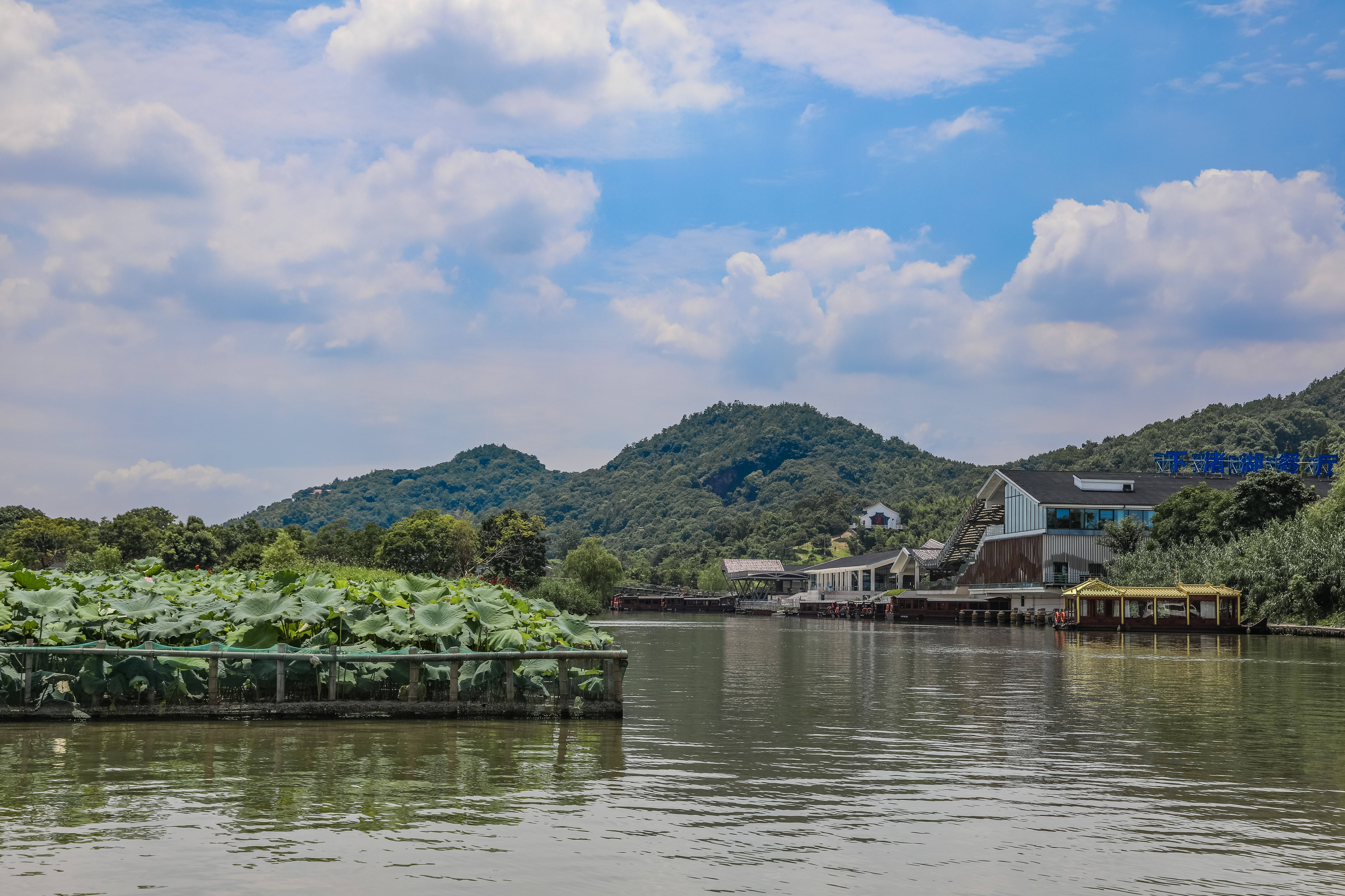 防风|杭州周边好去处 | 德清下渚湖，不仅有宫崎骏动的夏天，还有冬日里的冰雪世界