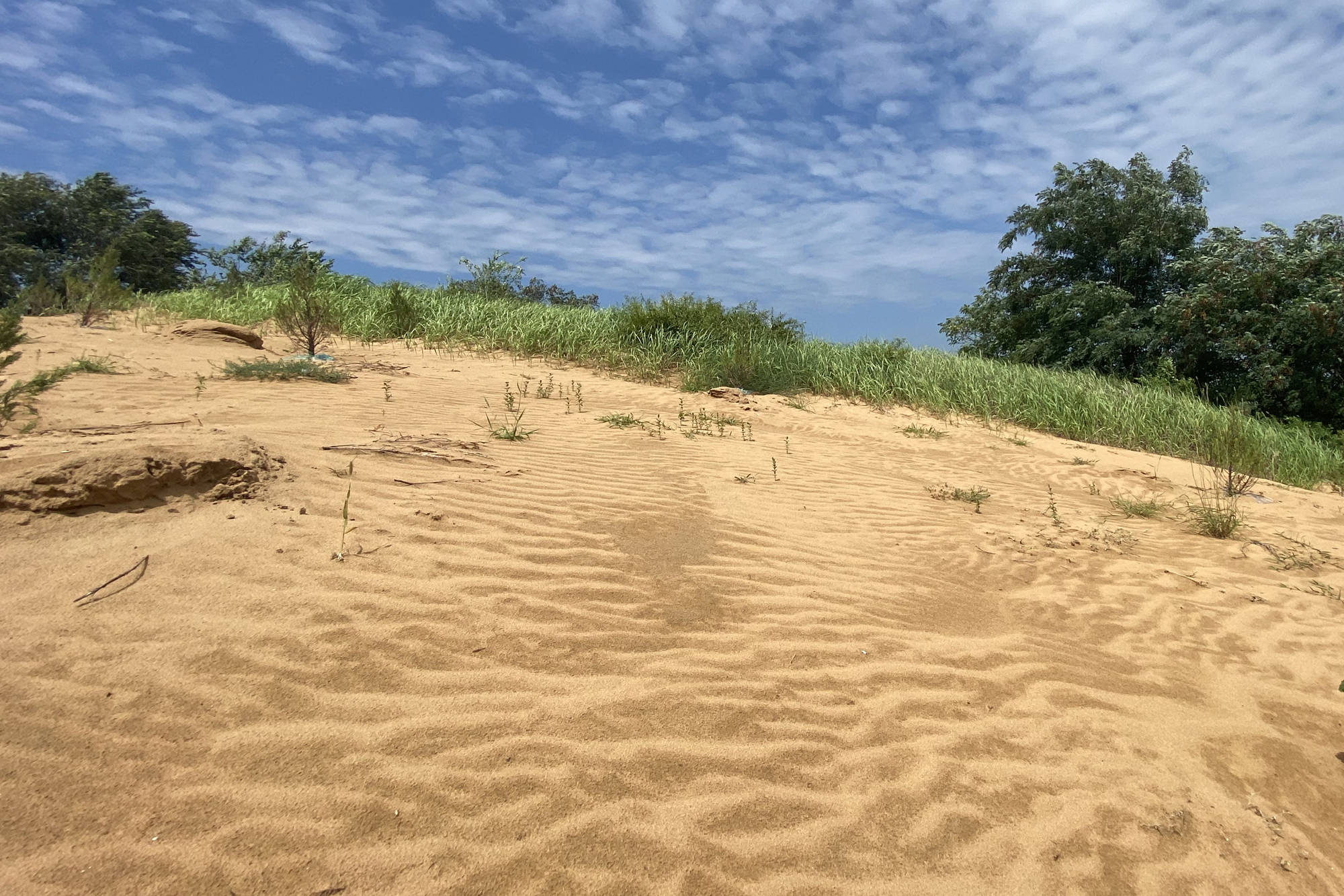 古老美丽的陕西大荔沙苑景区夏日邀你共享