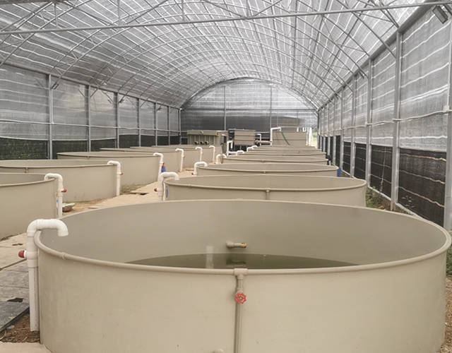 不知道现在还能否投资工厂化循环水养殖?