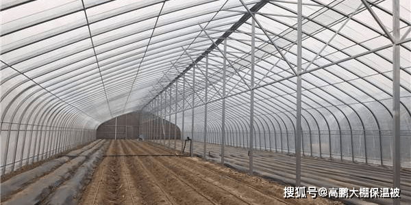 如何选择好的大棚膜 902355e7c8a84faf954f5f10c67e830a.png