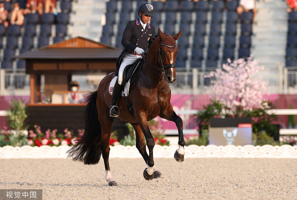 高清:马术个人盛装舞步大奖赛进行 骏马赛场飞驰